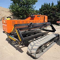 Carrello